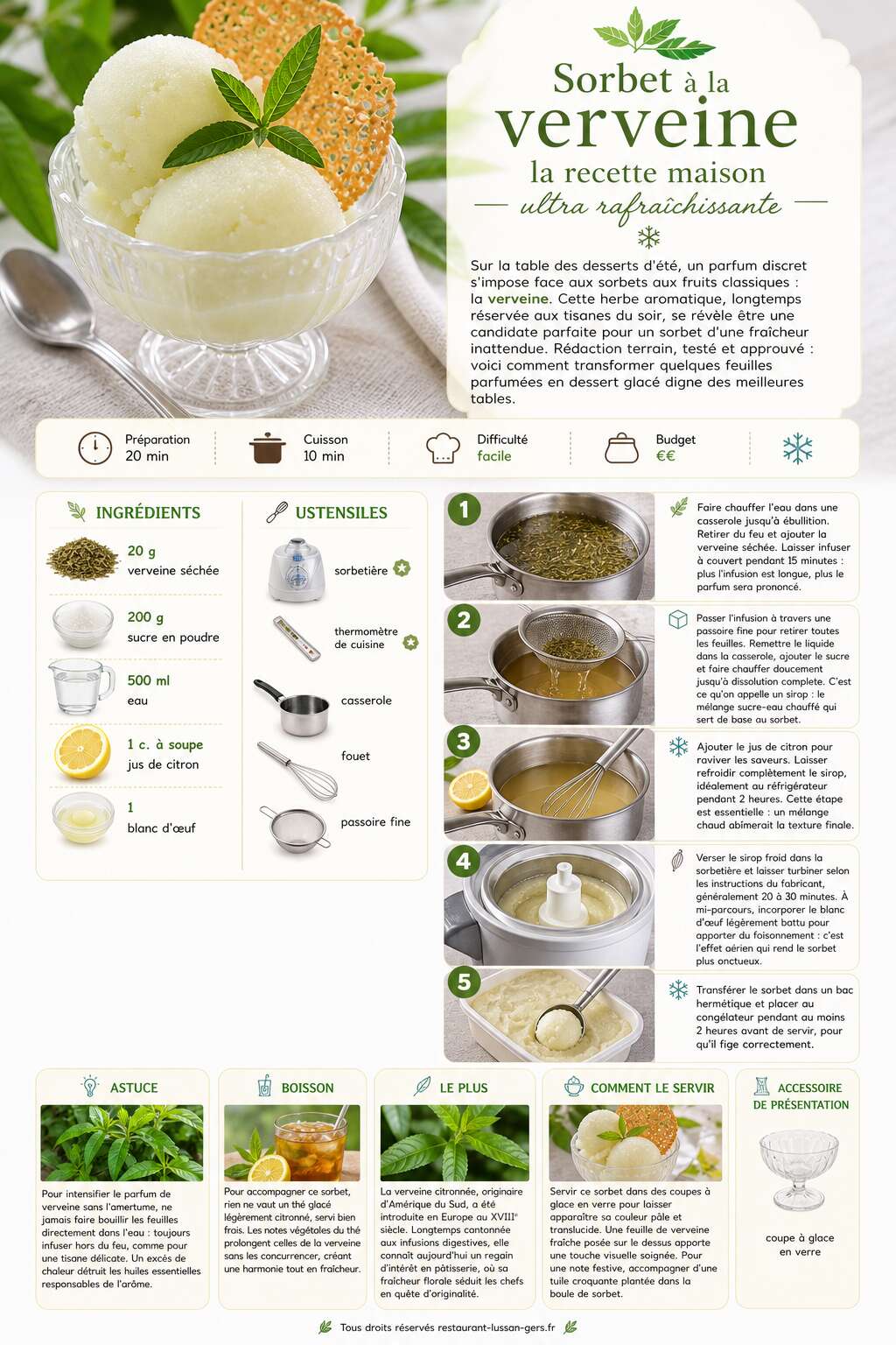 Fiche recette Sorbet à la verveine : la recette maison ultra rafraîchissante Fiche recette Sorbet à la verveine : la recette maison ultra rafraîchissante
